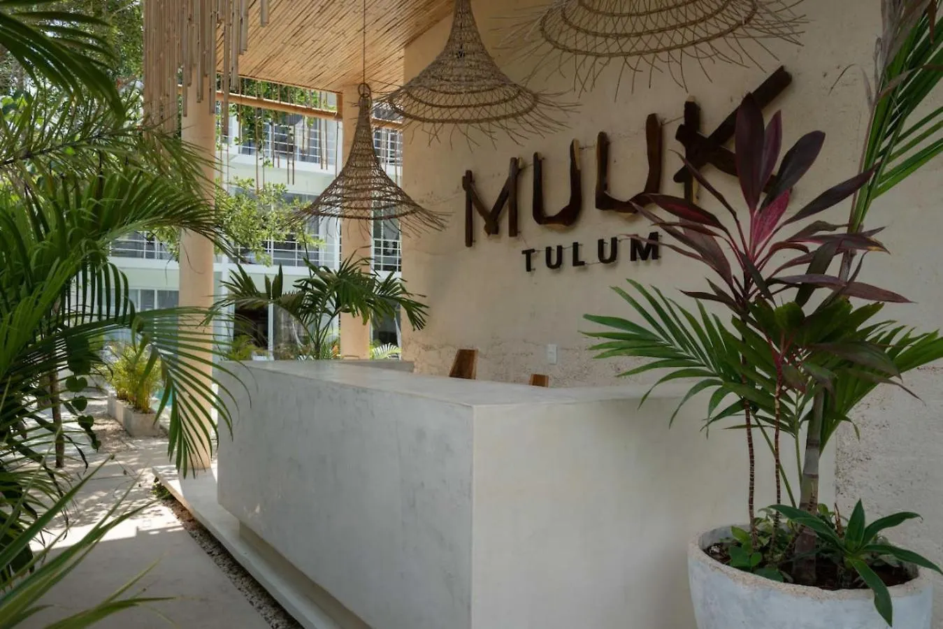 Modern And Stylish Studio In Muuk טולום 0*,  מקסיקו
